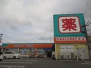 セガミ薬局(ドラッグストア)まで754m コムフォ－ト秋桜Ⅱ