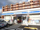 ローソン(コンビニ)まで250m ＫＳマンション南福岡