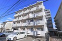 完成写真