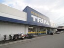 トライアル久留米上津店(ディスカウントショップ)まで1100m サイレントハピネス