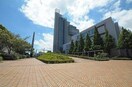 北九州市立大学(大学/短大/専門学校)まで640m ウイングビル