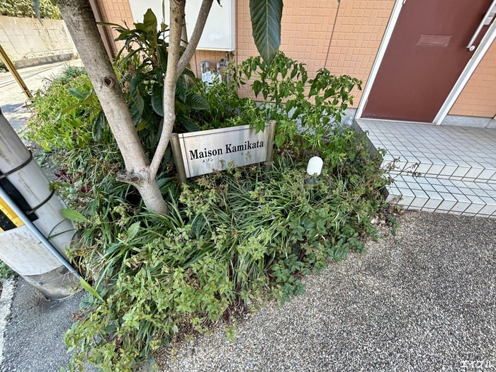 建物設備 メゾン上方Ｂ棟