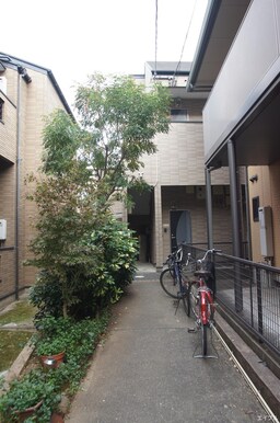 エントランス部分