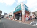 レガネット筥松店(スーパー)まで450m ﾗｲｵﾝｽﾞｽﾃ-ｼｮﾝﾌﾟﾗｻﾞ箱崎(1001)