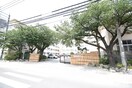 久留米市立諏訪中学校(中学校/中等教育学校)まで290m 富久ビル