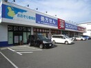 サンキュードラッグ 新高田店(ドラッグストア)まで950m サンフェリカ篠崎