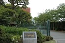 日本経済大学(大学/短大/専門学校)まで1200m 一二三荘