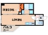 リバティ神屋 1LDKの間取り