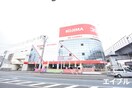 コジマ(電気量販店/ホームセンター)まで290m ラフォールＴＡＭＡ