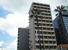 ｻｳﾞｫｲｻﾞ・ﾊﾟｰﾑｽﾄﾘｰﾄ（802）の外観