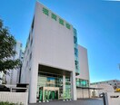 福岡医療専門学校(大学/短大/専門学校)まで750m 藤崎カステリア