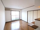 室内からの展望 ピナクル板付