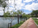 大濠公園(公園)まで950m 地行ハイツ