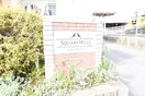 その他 スクエアヒルズ