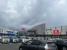 イオン若松店(ショッピングセンター/アウトレットモール)まで3100m ヒルサイドレジデンス今光