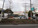 サニー小笹店(スーパー)まで210m スヴニ－ル小笹