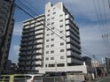 完成写真