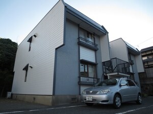 パレ－シャル菊入