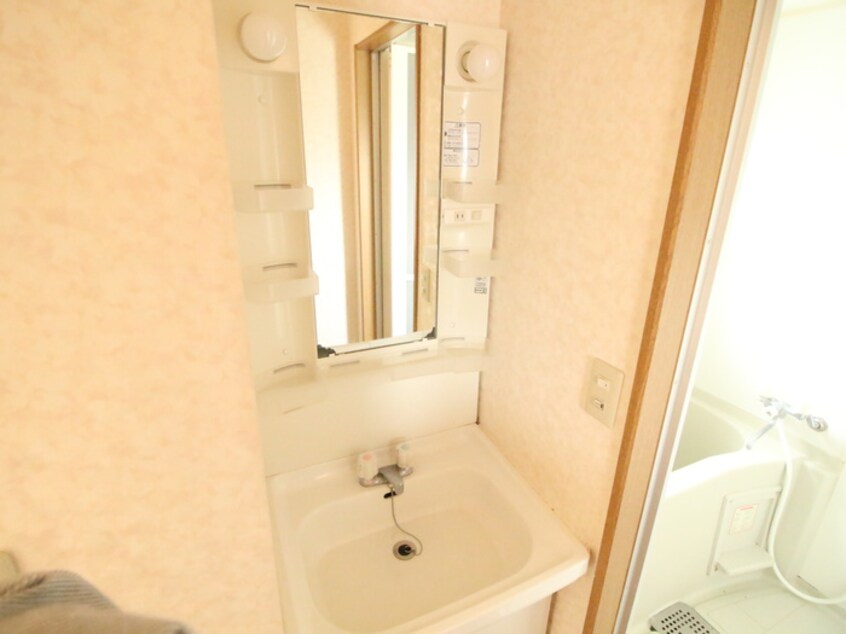 洗面 シャトレーヌ諸岡