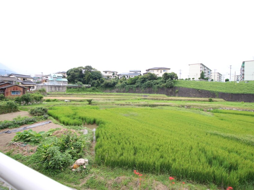 室内からの展望 シャローム梅木 Ａ棟