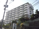 青山スカイハイツ(402)