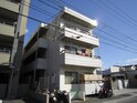 完成写真