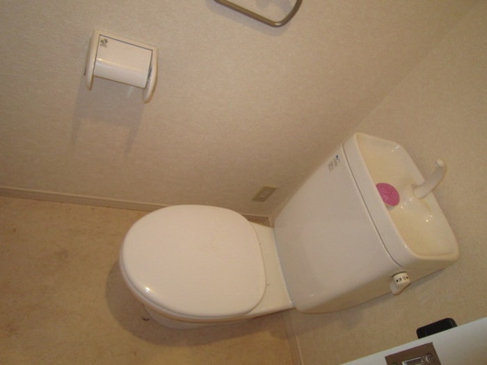 トイレ サヴォイエイペックス（503）
