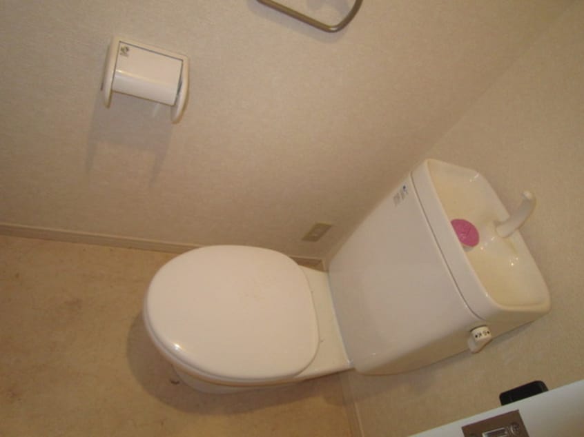 トイレ サヴォイエイペックス（503）