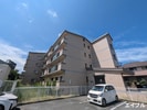 シード室見川の外観