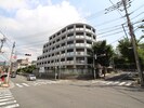 ベルカ－サ守恒の外観