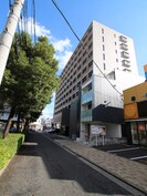 ルピナス守恒の外観