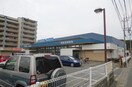 トライウェル　和白店(スーパー)まで700m グランドハイム和白