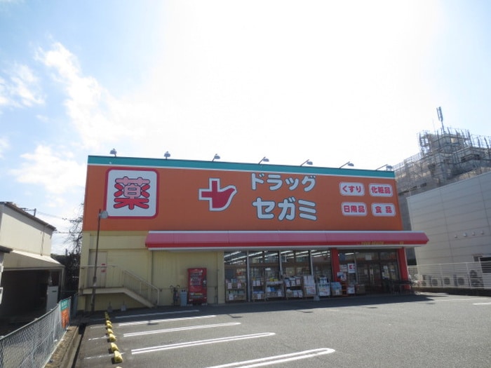 ｾｶﾞﾐ薬局(ドラッグストア)まで1100m Ｍハイツ Ⅱ