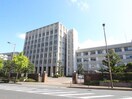 中村学園大学(大学/短大/専門学校)まで900m ハミング田島１