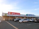 ダイレックス宗像くりえいと店(ディスカウントショップ)まで1400m エクセレントＭ