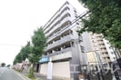 ピアニシオン大橋の外観