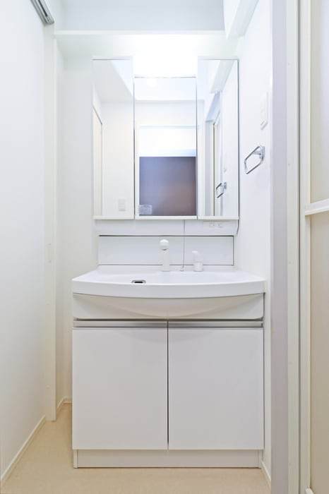 洗面 ｻｳﾞｫｲﾙ・ｶｻﾌﾞﾗﾝｶ（206）