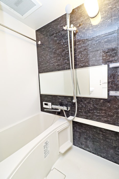 バス／シャワールーム等 ｻｳﾞｫｲﾙ・ｶｻﾌﾞﾗﾝｶ（206）