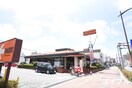 ロイヤルホスト久留米本町店(その他飲食（ファミレスなど）)まで157m Tiara本町