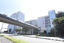 社会医療法人雪の聖母会聖マリア病院(病院)まで782m Tiara本町