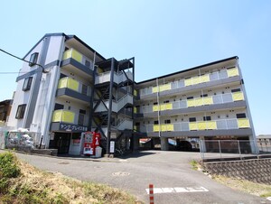 ヤンググレイス若園