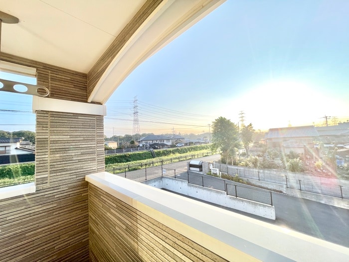 室内からの展望 アデニウム錦水