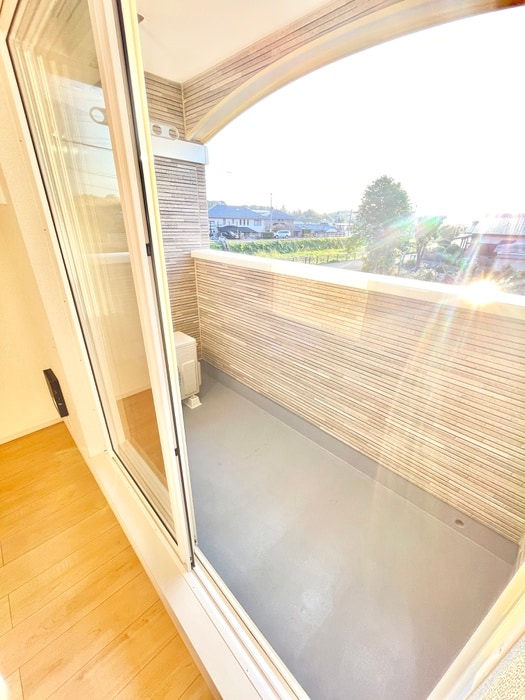 ベランダ・バルコニー アデニウム錦水