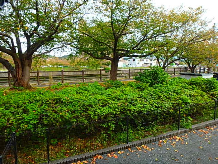 室内からの展望 チェリーハイツ