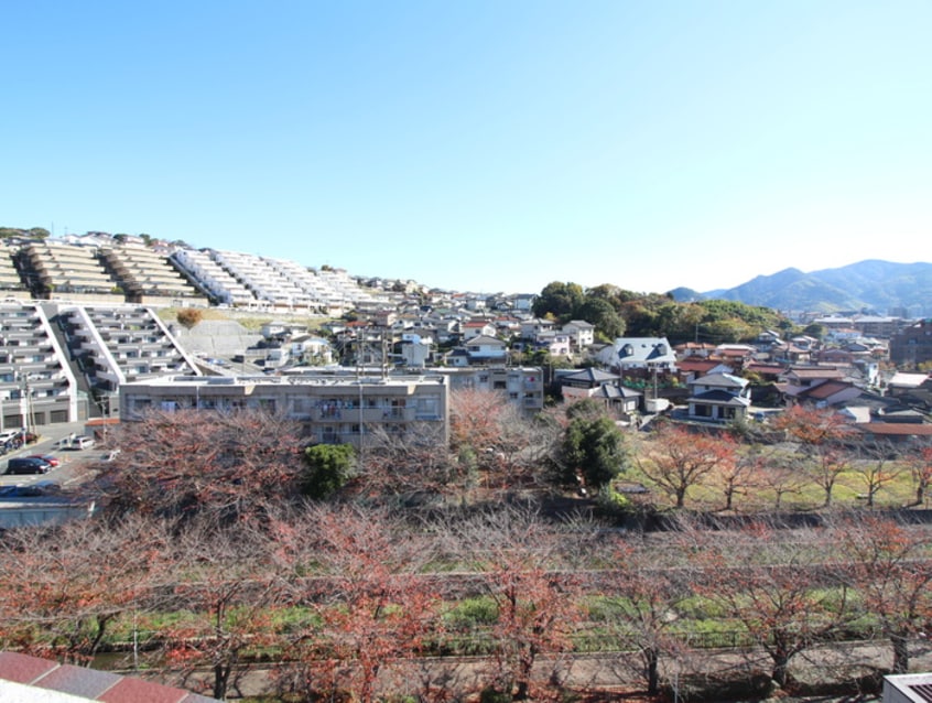 室内からの展望 サングレース徳力