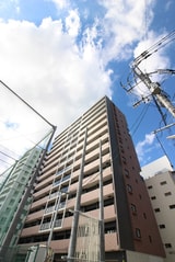 LANDIC　S4173（308）