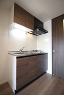 キッチン LANDIC　S4173（308）