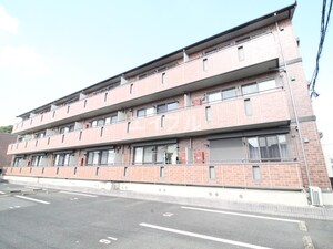 カトレアコート