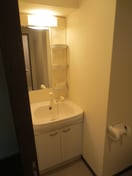 洗面 サムティタワーズ愛宕