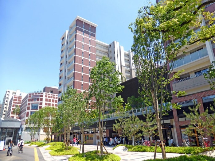 六本松421(ショッピングセンター/アウトレットモール)まで1010m レジデンス ソレイユ